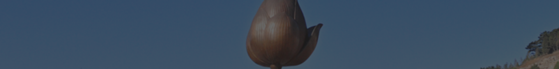 西安高桥墓园官网顶部背景图