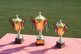 西安高桥墓园官网墓区环境图荣誉资质