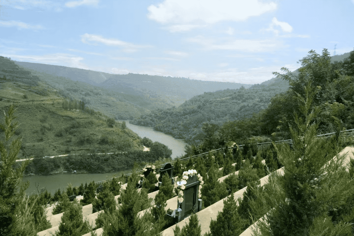 西安高桥墓园官网墓区环境图